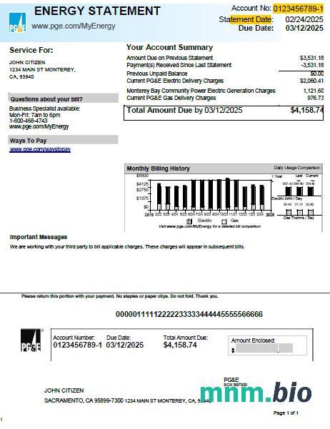 Szablon rachunku za media PG&E USA w formatach Word i PDF, Wersja 2